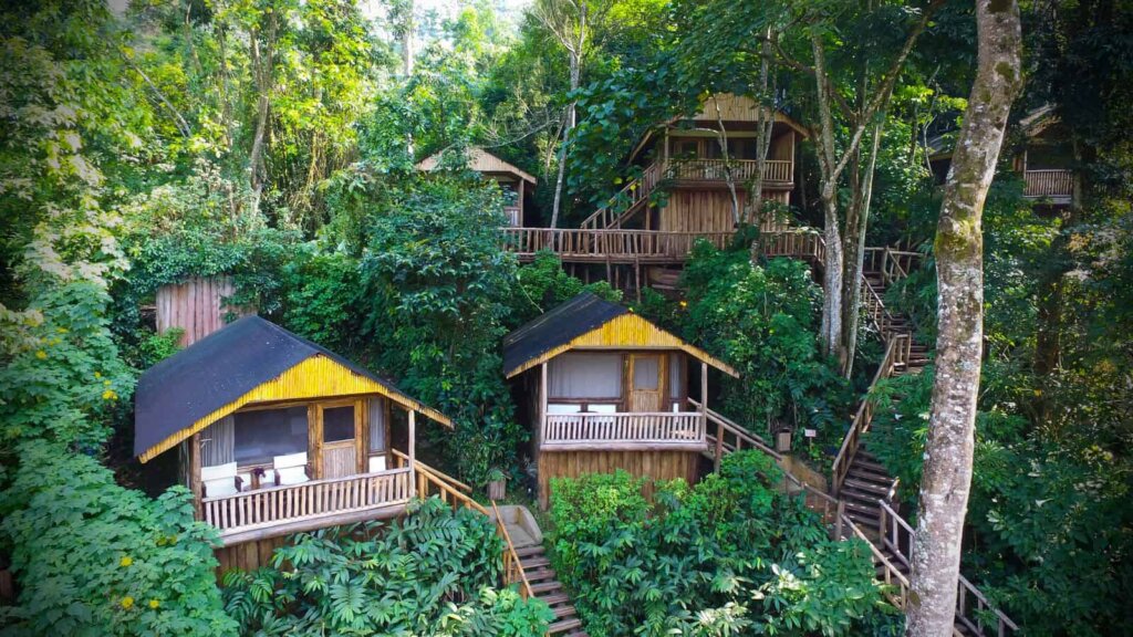 Buhoma Lodge - Accommodation in Bwindi