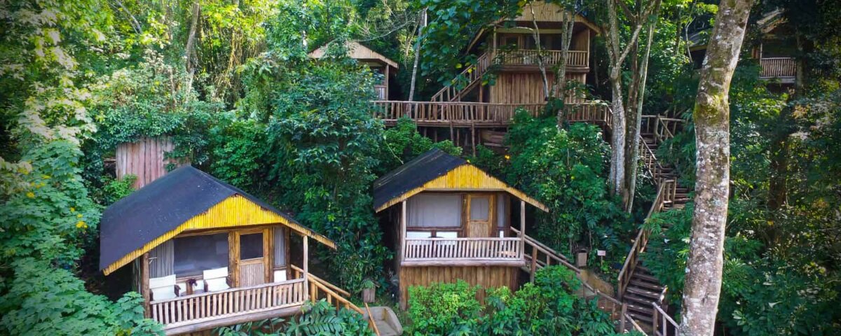 Buhoma Lodge - Accommodation in Bwindi