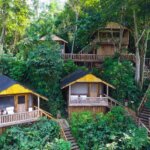 Buhoma Lodge - Accommodation in Bwindi