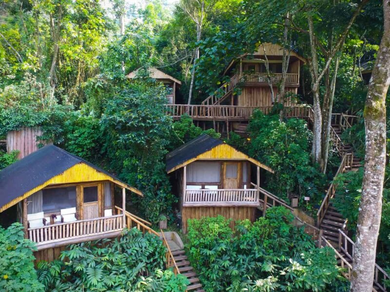 Buhoma Lodge - Accommodation in Bwindi