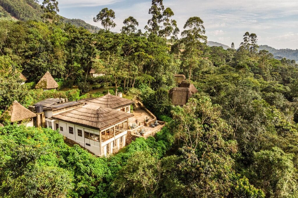 Bwindi Jungle Lodge