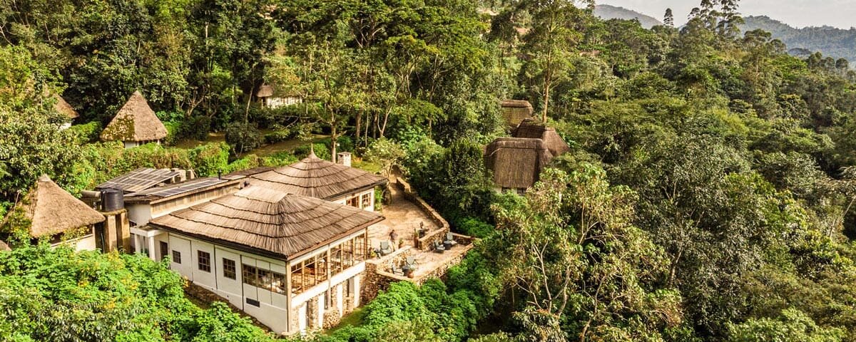 Bwindi Jungle Lodge