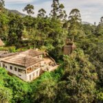 Bwindi Jungle Lodge
