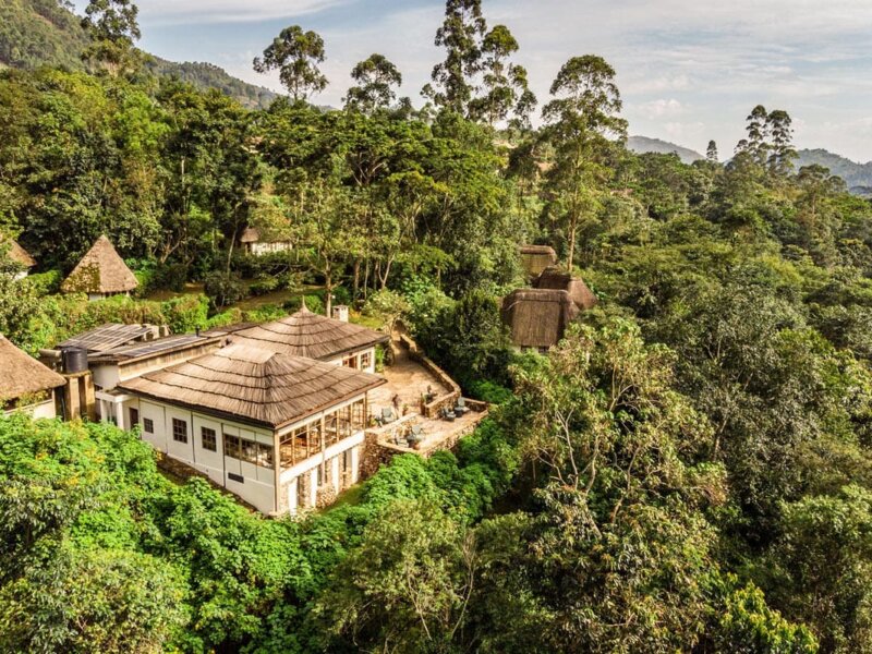 Bwindi Jungle Lodge
