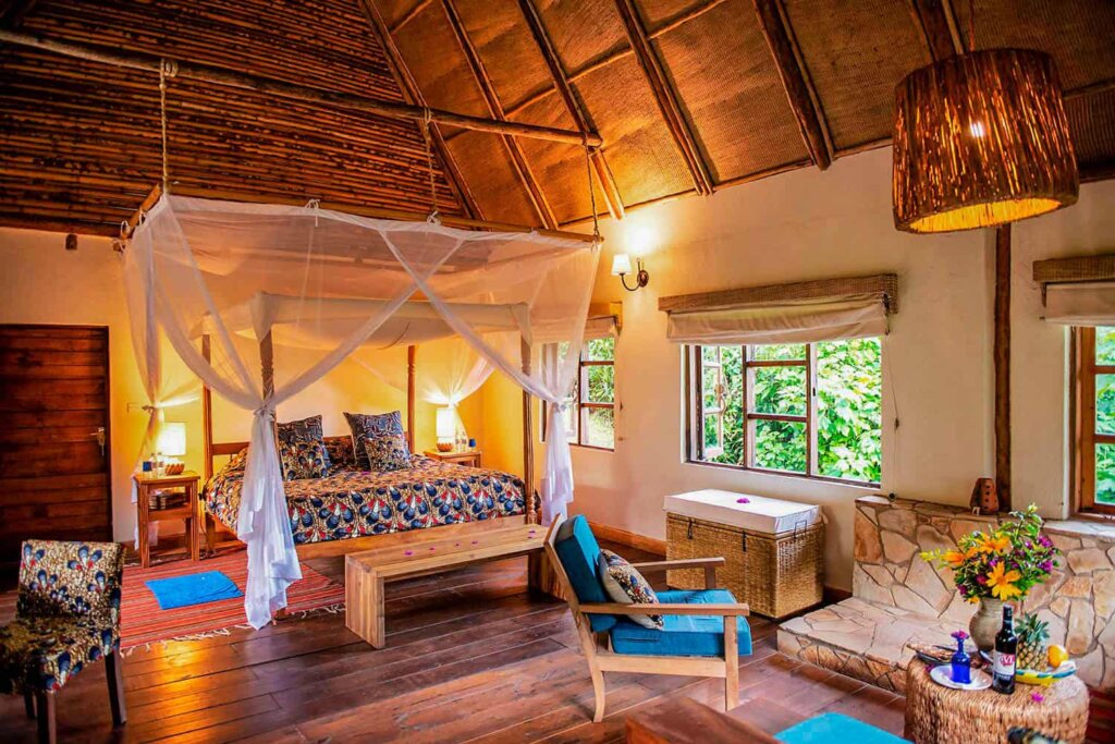 Bwindi Lodge - Luxury Accommodation in Bwindi