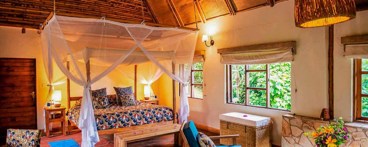 Bwindi Lodge - Luxury Accommodation in Bwindi