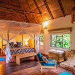 Bwindi Lodge - Luxury Accommodation in Bwindi