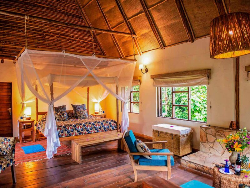 Bwindi Lodge - Luxury Accommodation in Bwindi