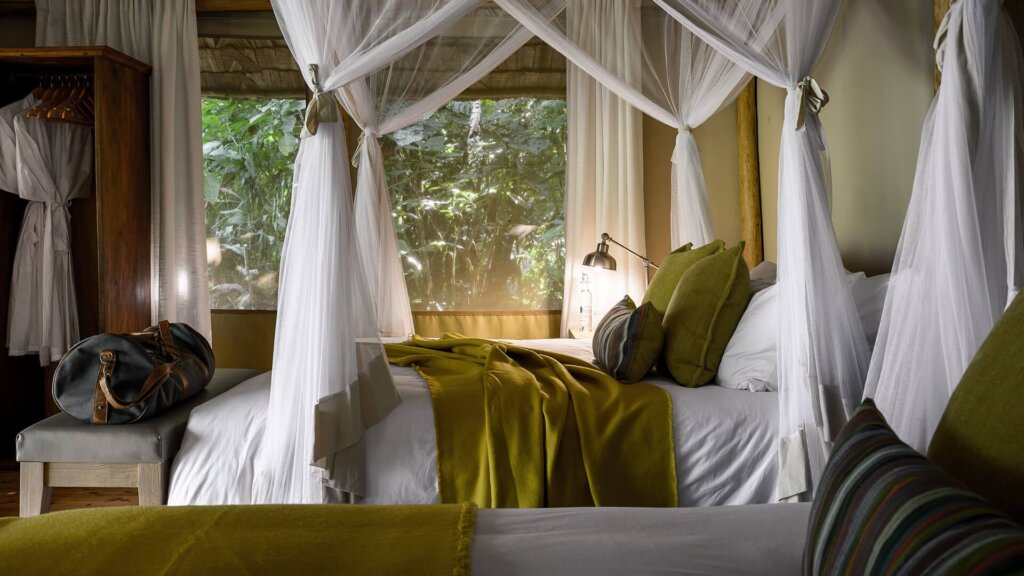 Gorilla Forest Camp - luxury Accommodation in Bwindi