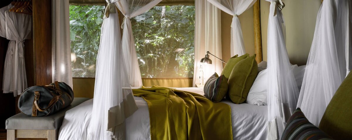 Gorilla Forest Camp - luxury Accommodation in Bwindi