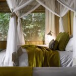 Gorilla Forest Camp - luxury Accommodation in Bwindi