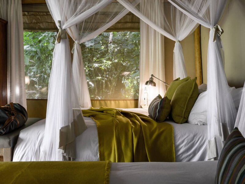 Gorilla Forest Camp - luxury Accommodation in Bwindi