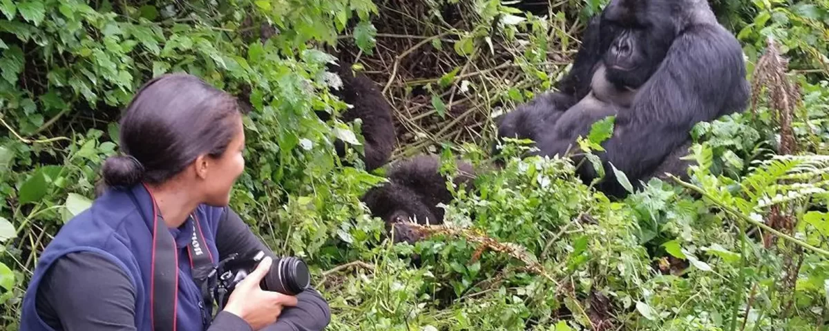 How Many Days Do You Need for Gorilla Trekking in Uganda