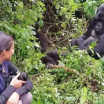 How Many Days Do You Need for Gorilla Trekking in Uganda