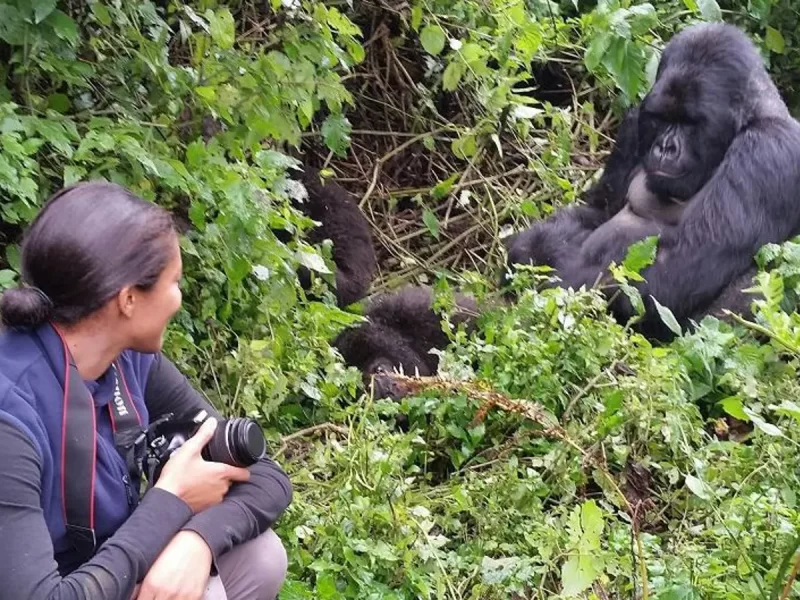How Many Days Do You Need for Gorilla Trekking in Uganda