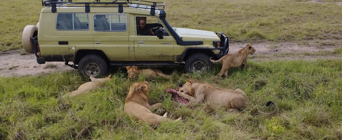 How Much Does a Safari Cost in Uganda