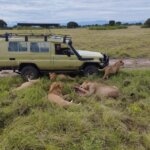 How Much Does a Safari Cost in Uganda
