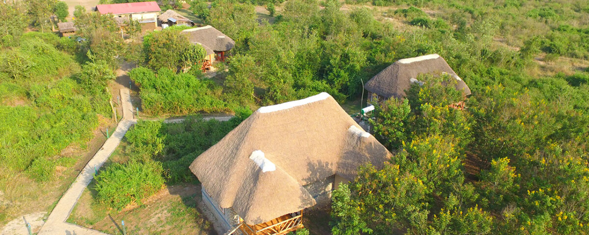  Irungu Forest Safari Lodge and Campsite 