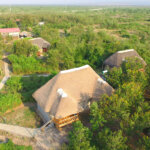 Irungu Forest Safari Lodge and Campsite