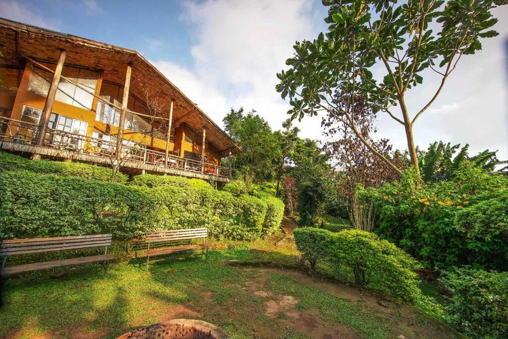 Mahogany Springs Lodge - Luxury Accommodation in Bwindi