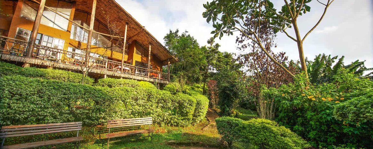Mahogany Springs Lodge - Luxury Accommodation in Bwindi