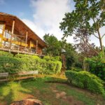 Mahogany Springs Lodge - Luxury Accommodation in Bwindi