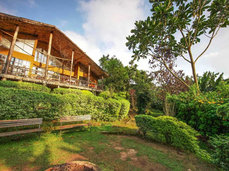 Mahogany Springs Lodge - Luxury Accommodation in Bwindi