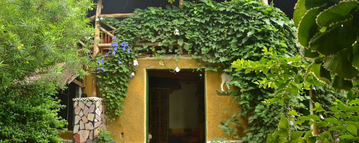 Pumba Safari Cottages
