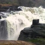 Things to Do in Murchison Falls National Park