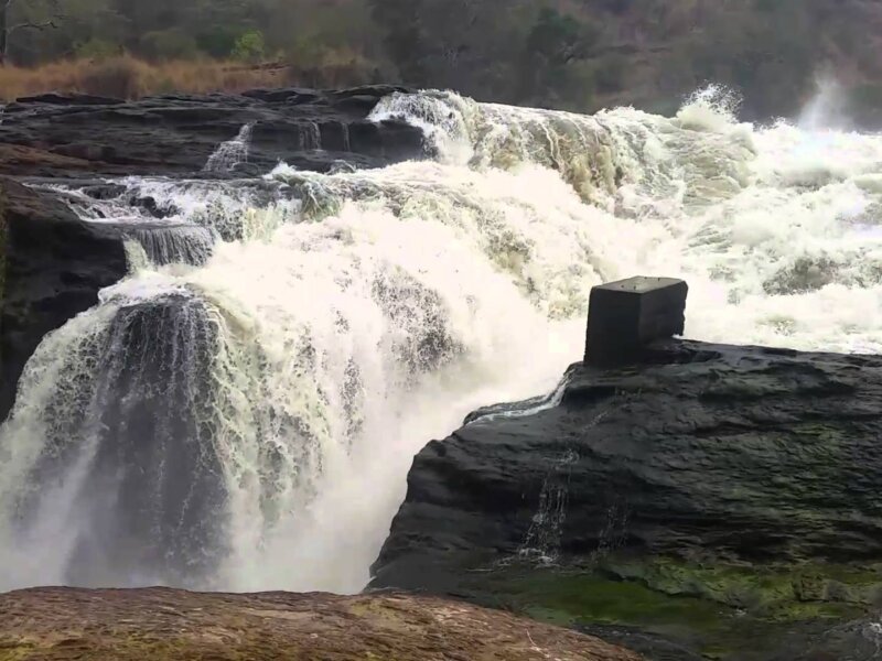 Things to Do in Murchison Falls National Park