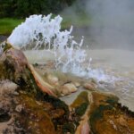 Things to do in Semuliki National park