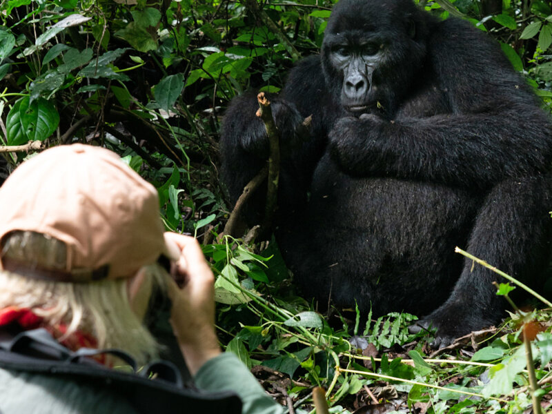 Uganda Gorilla Tours from Belarus