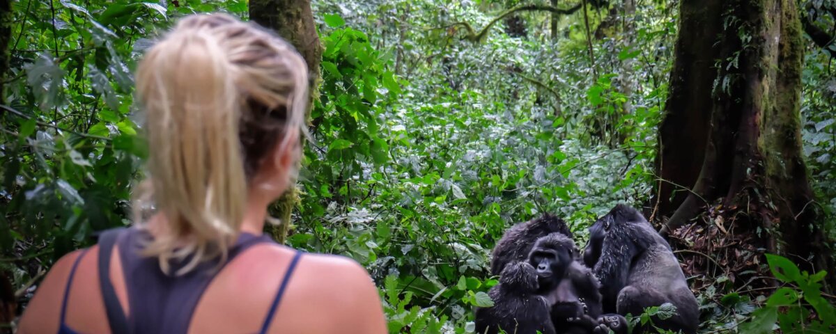Uganda Gorilla Tours from Hungary