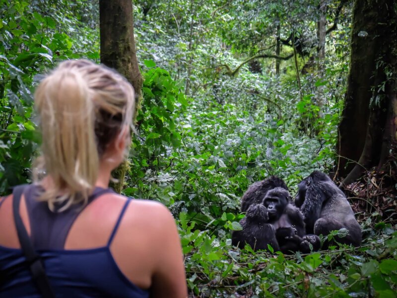 Uganda Gorilla Tours from Hungary