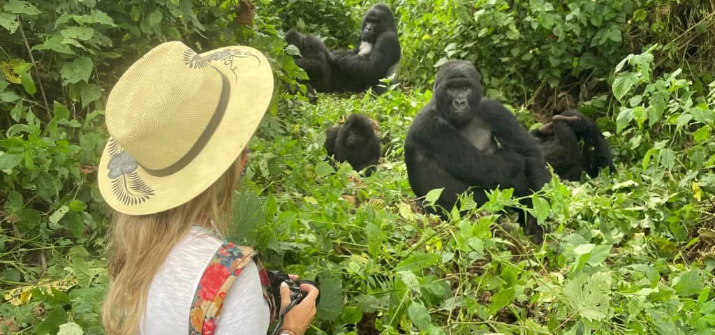 Uganda Gorilla Tours from Liechtenstein