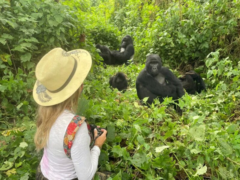 Uganda Gorilla Tours from Liechtenstein