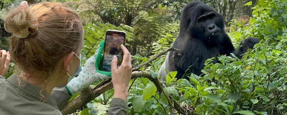 Uganda Gorilla Tours from Netherlands