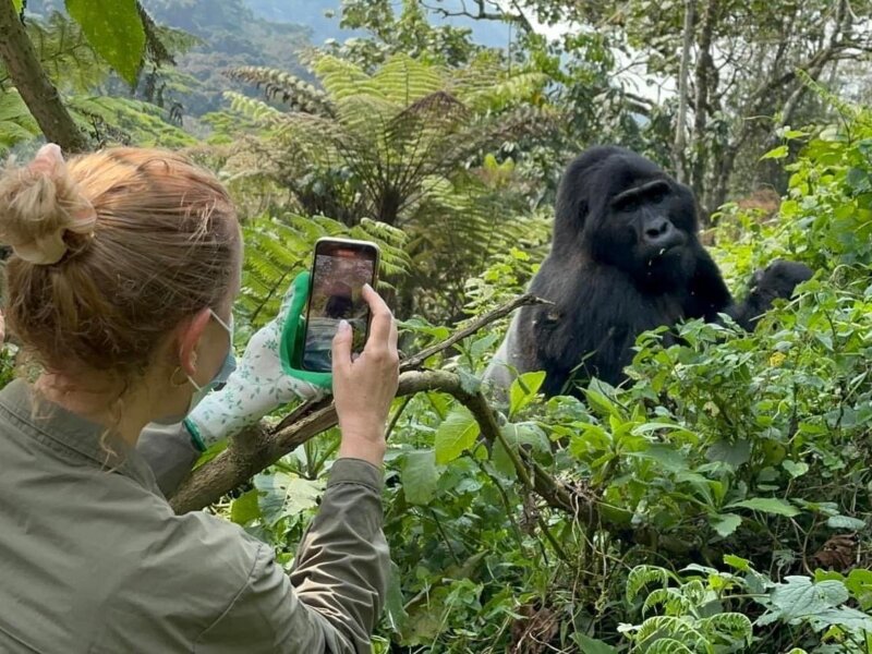 Uganda Gorilla Tours from Netherlands