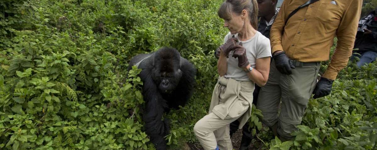 Uganda Gorilla Tours from Romania