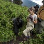 Uganda Gorilla Tours from Romania