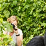 Uganda Gorilla Tours from South Africa