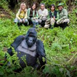 Uganda Gorilla Tours from Sweden