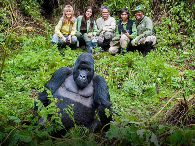 Uganda Gorilla Tours from Sweden