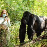 Uganda Gorilla Tours from Switzerland