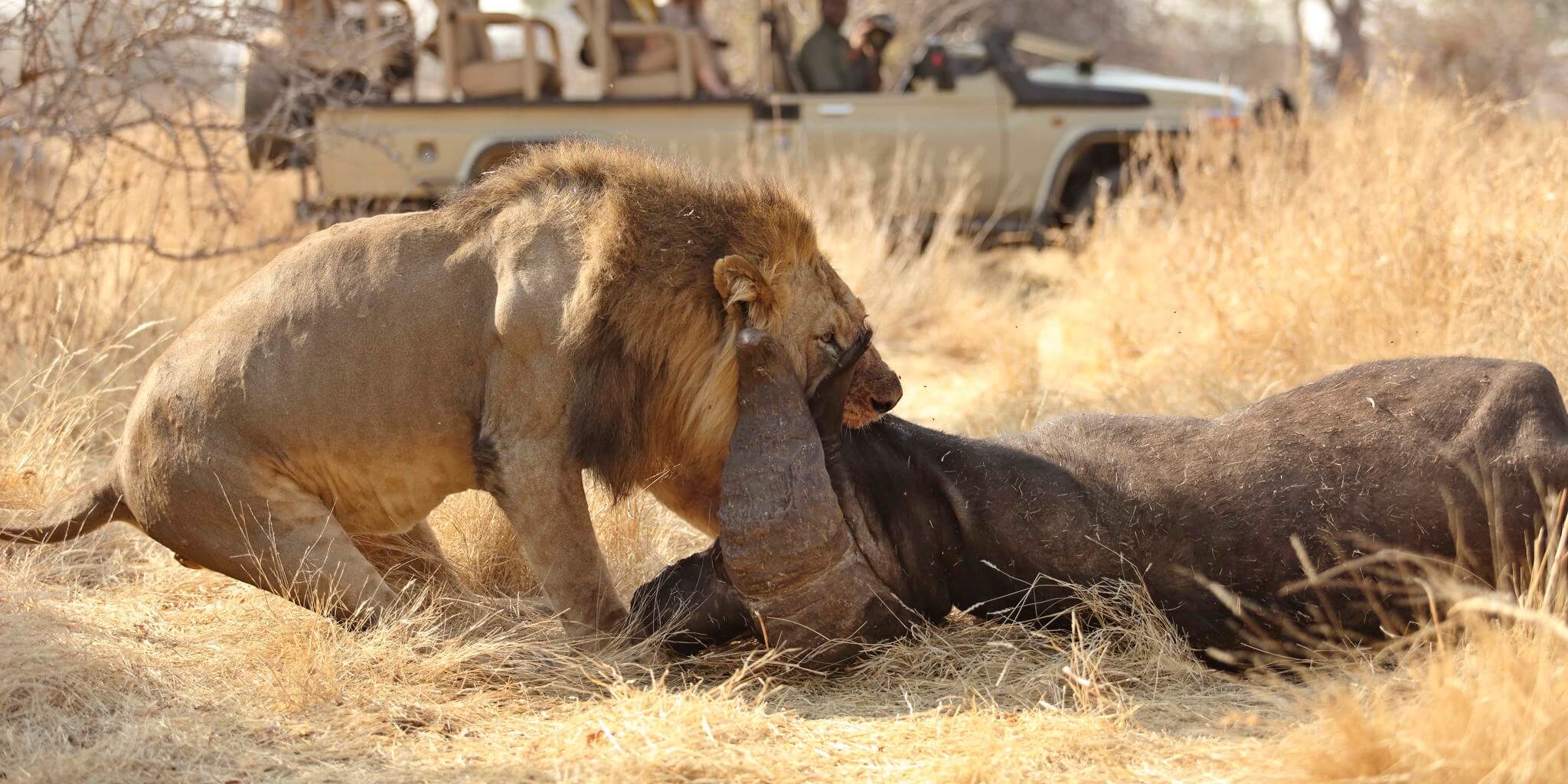 11 Days Tanzania and Uganda Safari Tour