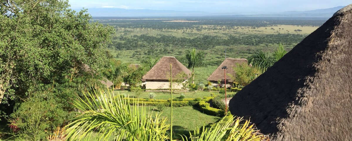 Baboon Safari Resort