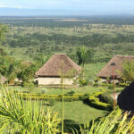 Baboon Safari Resort