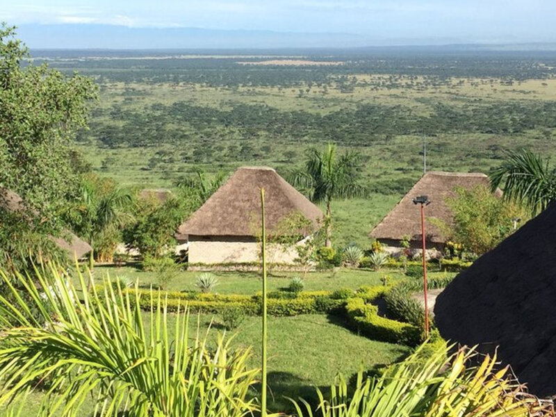 Baboon Safari Resort