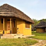 Bwana Tembo Safari Camp