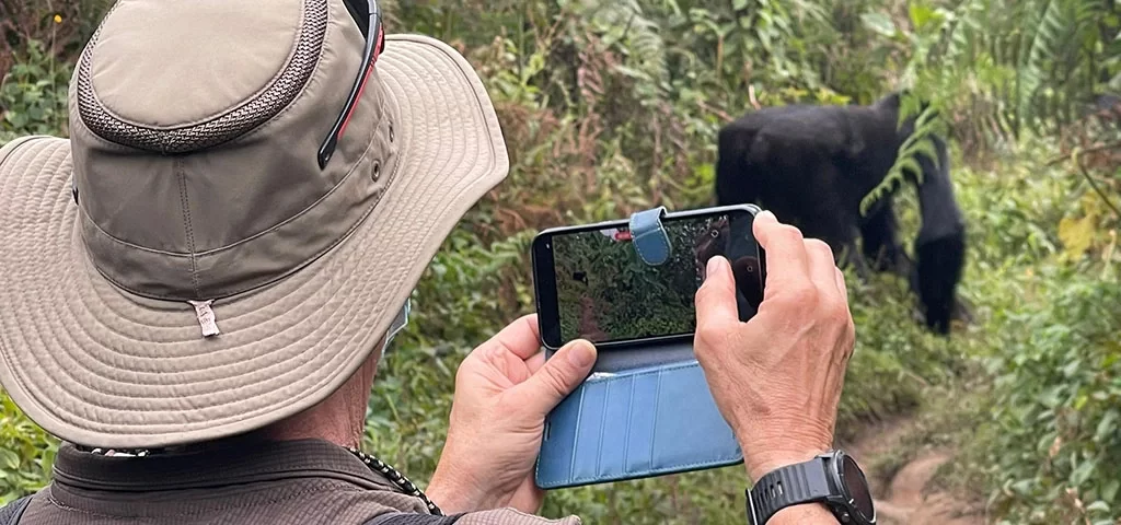 Bwindi Travel Guide for First Time Visitors